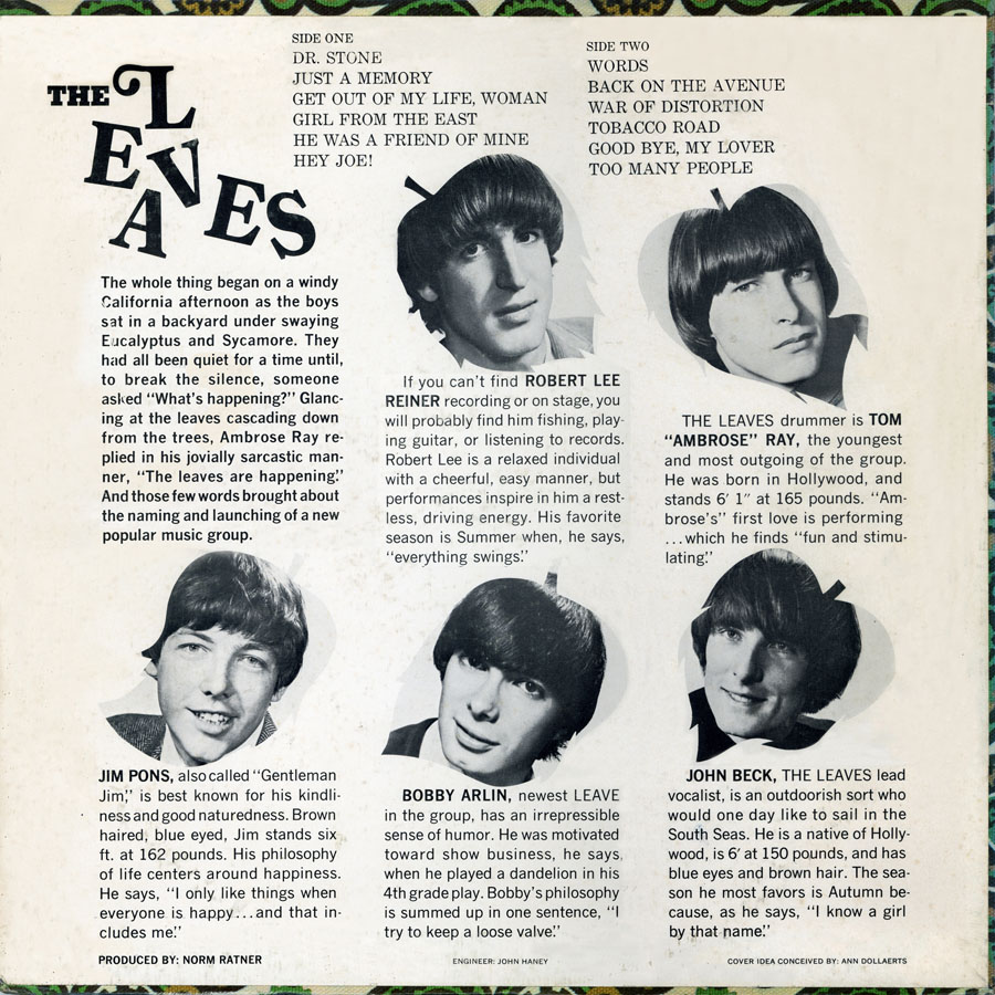 leaves lp hey joe label surrey back cover