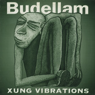 budellam lp xung vibrations