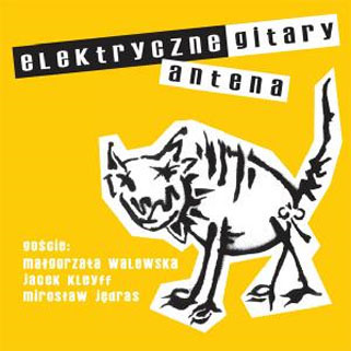 elektryczne gitary cd antena front