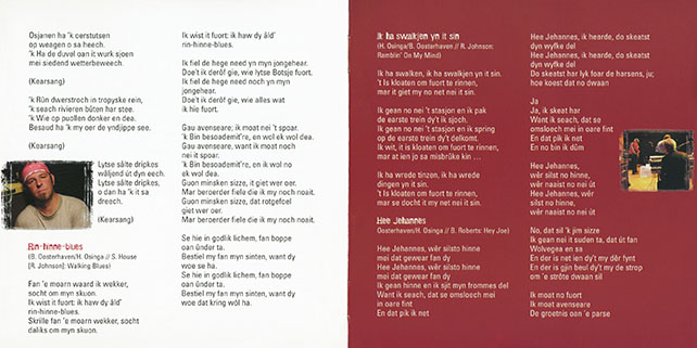 chickens go mad cd rau blau en gau booklet 6
