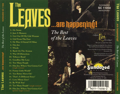 leaves cd leaves are happening tray