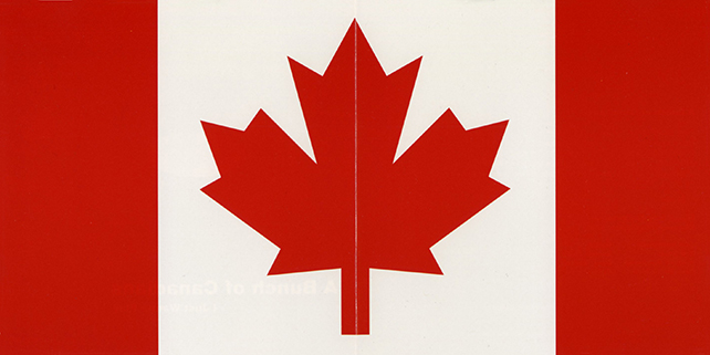 a bunch of canadian cd I just wanna play  cover in