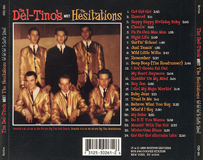 del tino's hesitations cd go go go to surfin'school tray