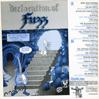 seen lp blue declaration of fuzz back cover