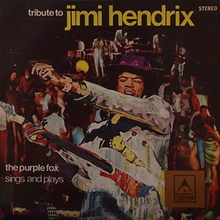 purple fox tribute to jimi hendrix summit australia front