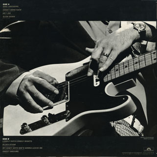 roy buchanan live in japan back