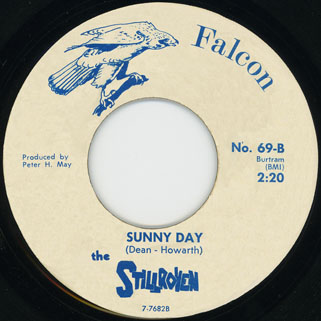 stillroven single falcon side sunny day